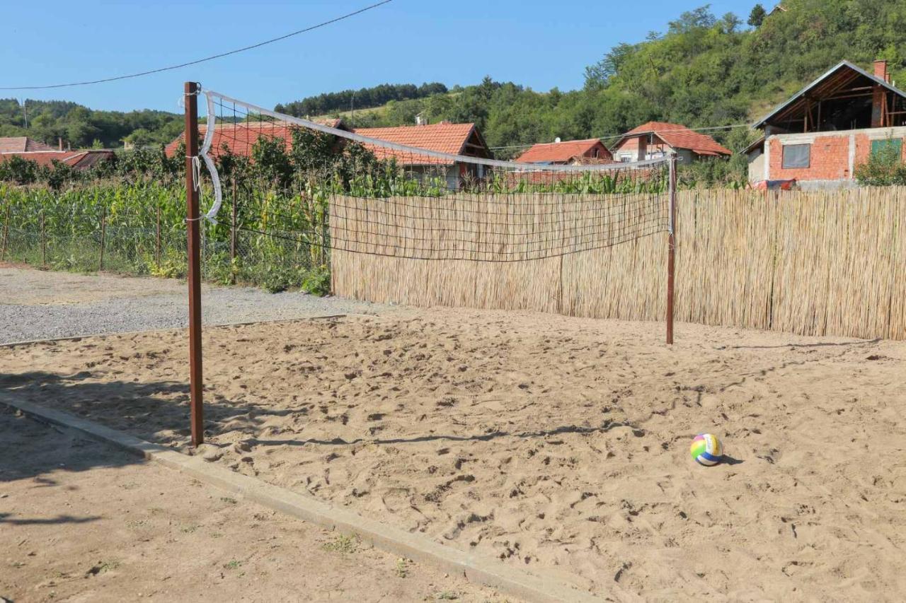 Vila Viktori Пирот Екстериор снимка
