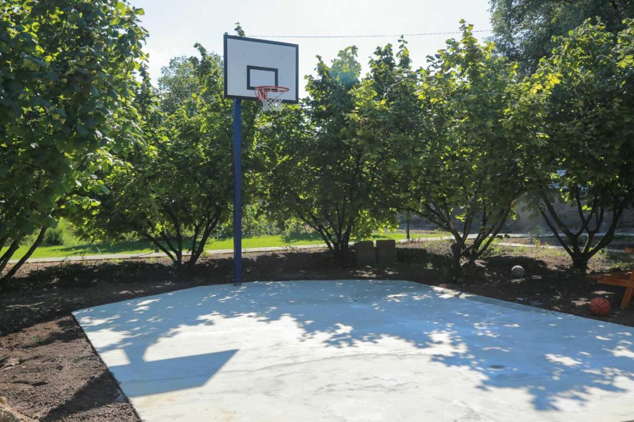 Vila Viktori Пирот Екстериор снимка