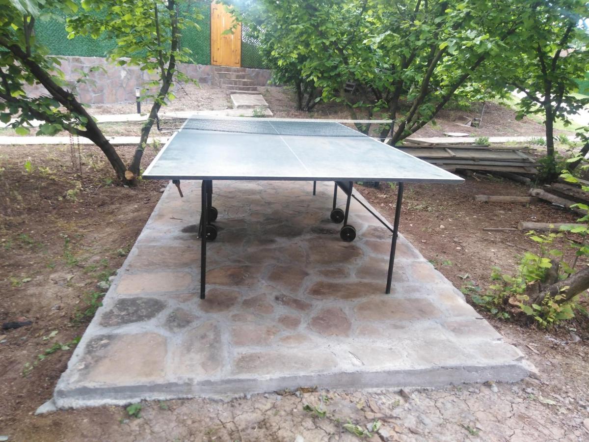 Vila Viktori Пирот Екстериор снимка