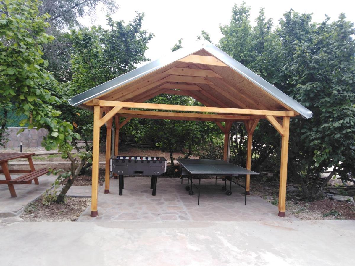 Vila Viktori Пирот Екстериор снимка