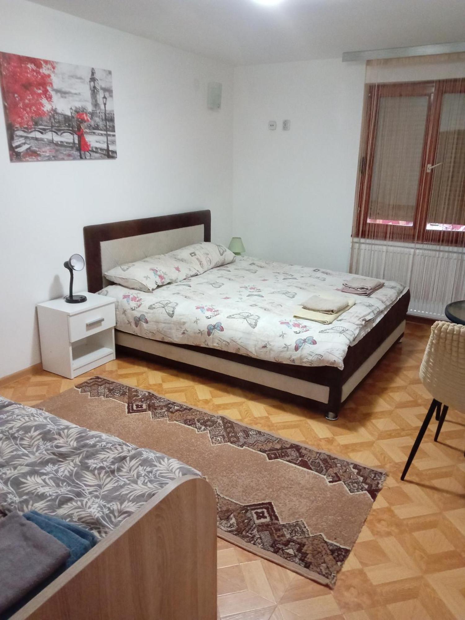 Vila Viktori Пирот Екстериор снимка
