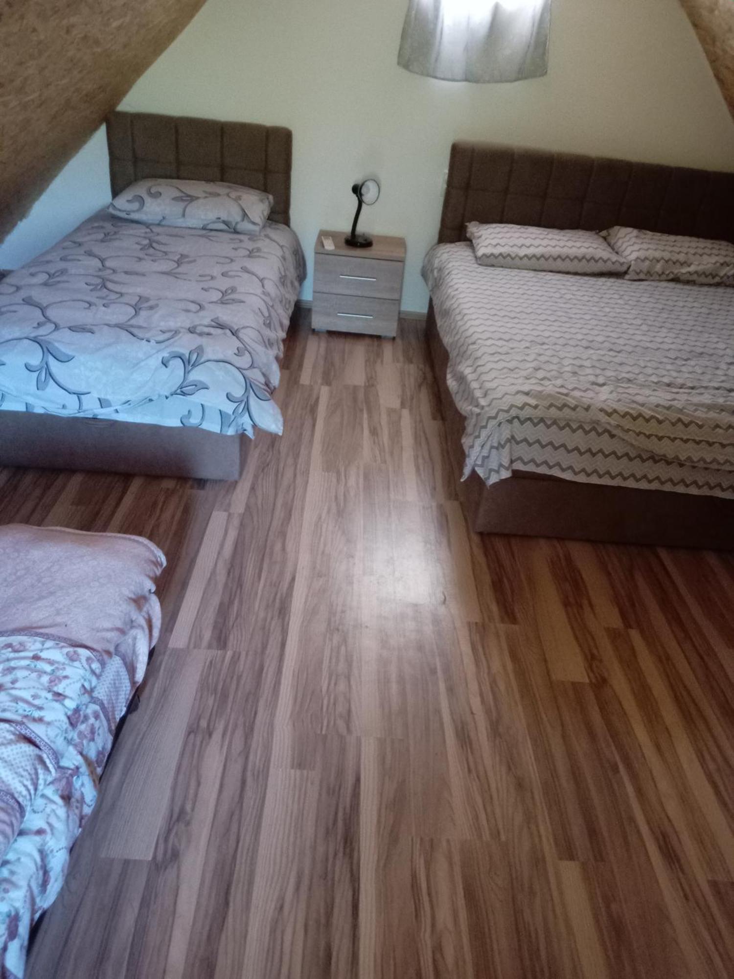 Vila Viktori Пирот Екстериор снимка