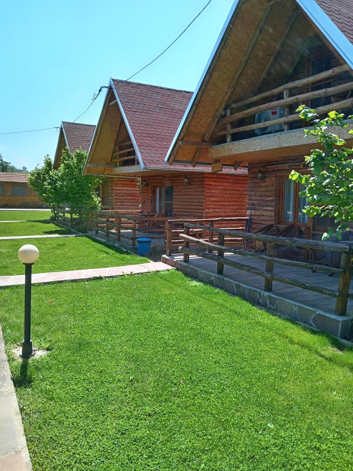 Vila Viktori Пирот Екстериор снимка